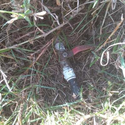 Image 2024 05 03 20a