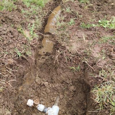 Image 2024 05 20 17.32.53