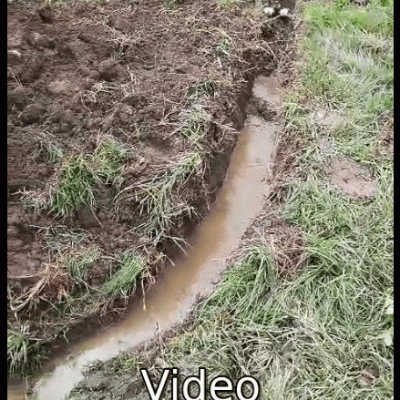 Peek 2024 05 21 16 19