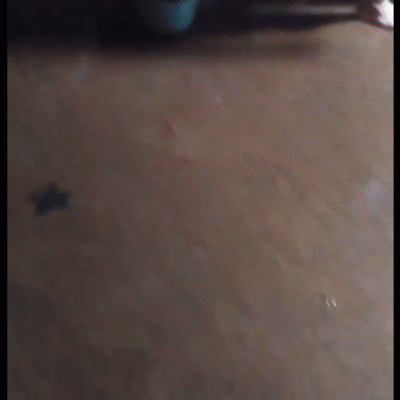 Peek 2024 05 21 16 22